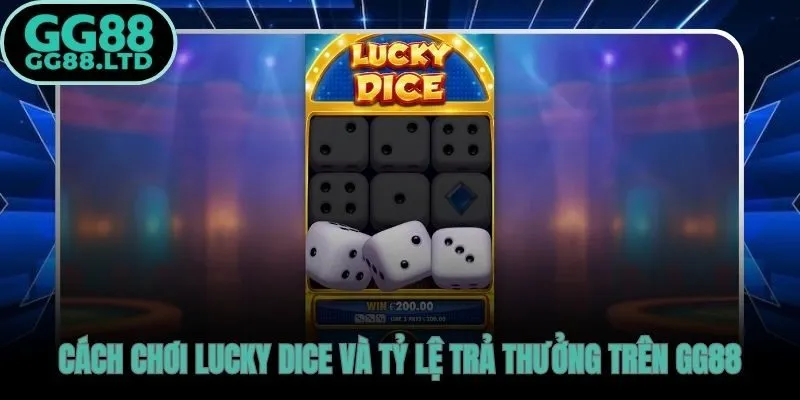 Lucky Dice GG88  quy trình đặt cược và tỷ lệ hoàn trả cụ thể